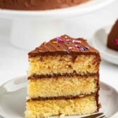 A slice of three-layer yellow cake with chocolate frosting sits on a white plate. The frosting is topped with colorful sprinkles. A fork is placed beside the slice. Another piece of cake is blurred in the background.